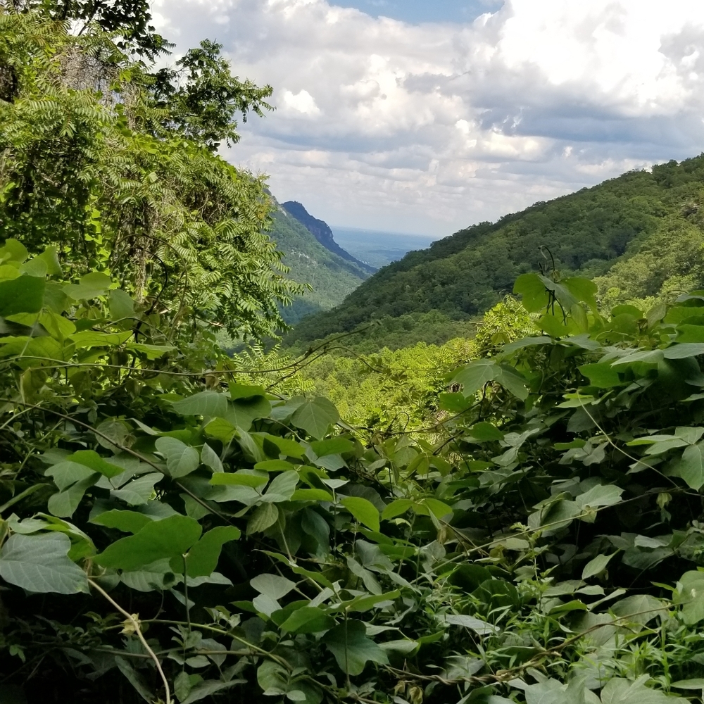 Meet your Posher, Cat22nc